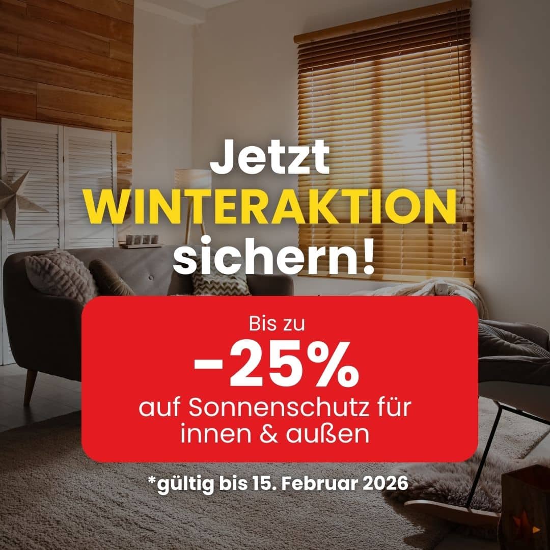 winteraktion-popup